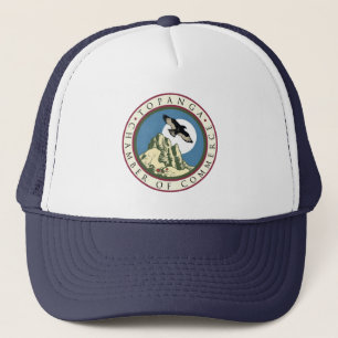 Gorra De Camionero Camión de cámara