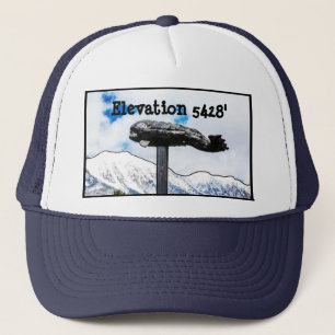 Gorra De Camionero Camionero de la ballena del cuenco de Bridger