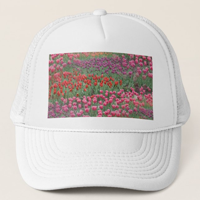 Gorra De Camionero Campo De Tulipanes (Anverso)