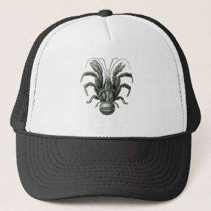 Gorra De Camionero Cangrejo de coco