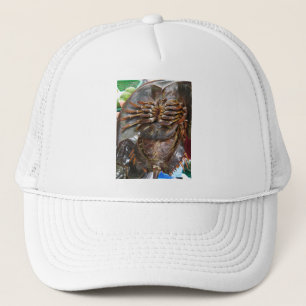 Gorra De Camionero Cangrejo herradura... Comida callejera tailandesa 