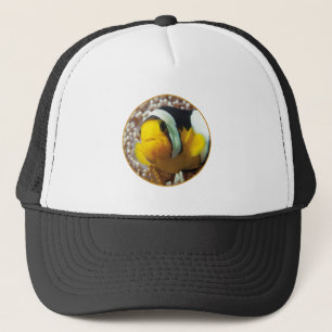Gorra De Camionero Cangrejos de payaso - ¡Acércate! Diseño fotográfic