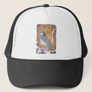 Gorra De Camionero Cañón de Falcon