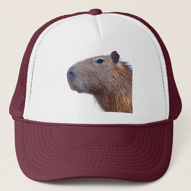Gorra De Camionero Capibara (Anverso)