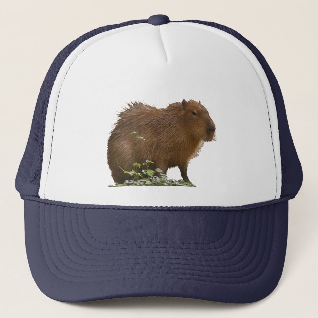 Gorra De Camionero Capibara (Anverso)