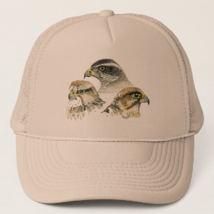 Gorra De Camionero Captura de béisbol de Falcone