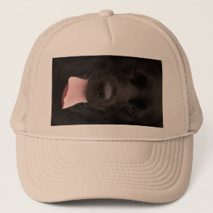 Gorra De Camionero Cara de perro negro