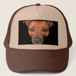 Gorra De Camionero Cara de Staffordshire Bull Terrier