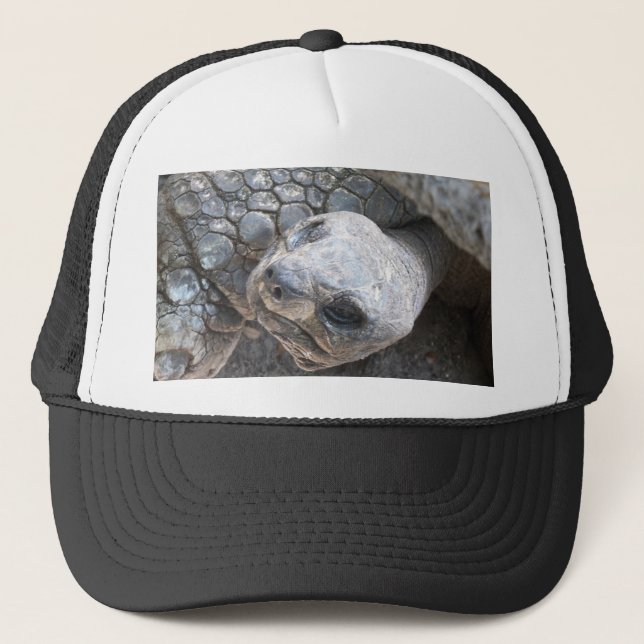Gorra De Camionero Cara de tortoise (Anverso)