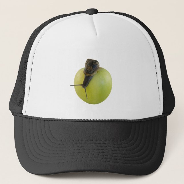 Gorra De Camionero Caracol (Anverso)