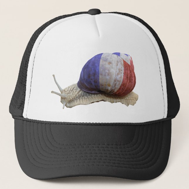 Gorra De Camionero Caracol francés de la bandera (Anverso)