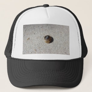 Gorra De Camionero Caracol loco