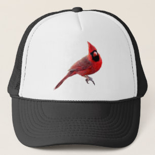 Gorra De Camionero Cardenales
