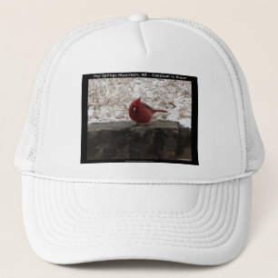 Gorra De Camionero Cardinal Hot Springs Parque Nat. Mt AR Regalos Rop
