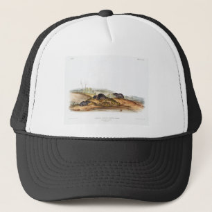 Gorra De Camionero Carolina Shrew House Mouse Chica Boy Room