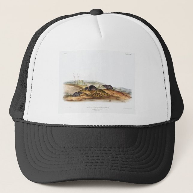Gorra De Camionero Carolina Shrew House Mouse Chica Boy Room (Anverso)