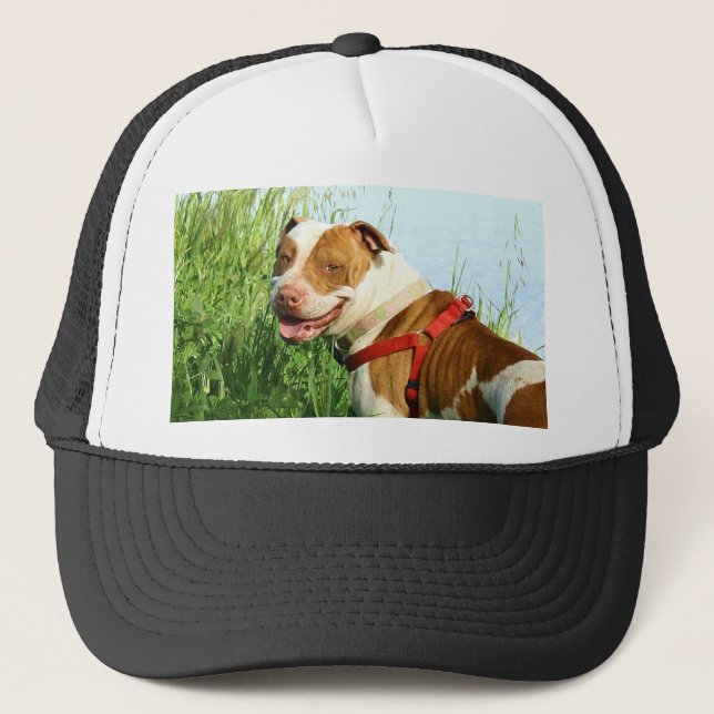 Gorra De Camionero Casquillo de Pitbull (Anverso)
