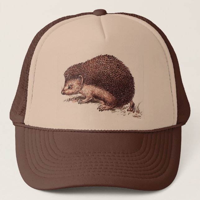 Gorra De Camionero Casquillo del erizo (Anverso)
