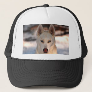 Gorra De Camionero Casquillo del husky siberiano