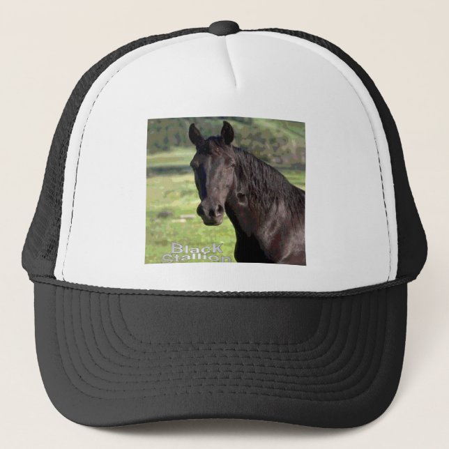 Gorra De Camionero Casquillo del Negro-Semental (Anverso)