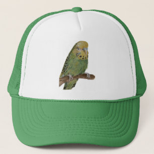 Gorra De Camionero casquillo verde del arte del budgie