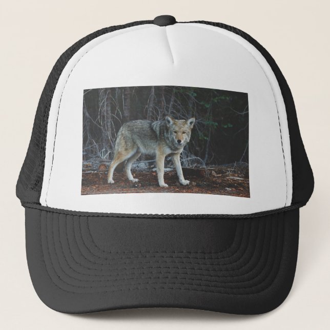 Gorra De Camionero Caza del coyote (Anverso)