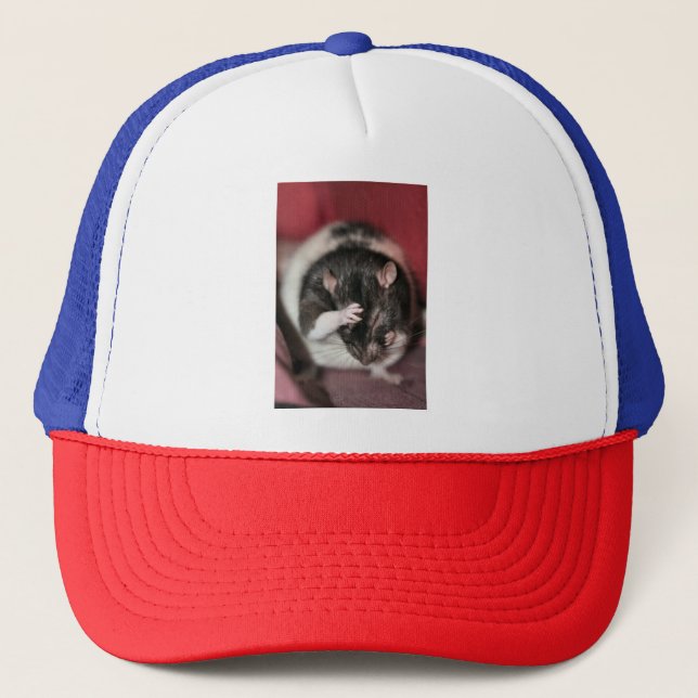 Gorra De Camionero Cefalea (Anverso)
