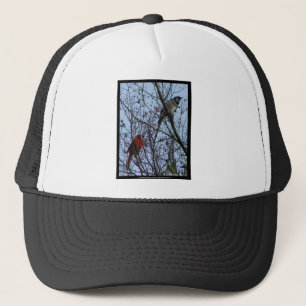 Gorra De Camionero Centinelas Azulejo y Cardenal de Lee Hiller