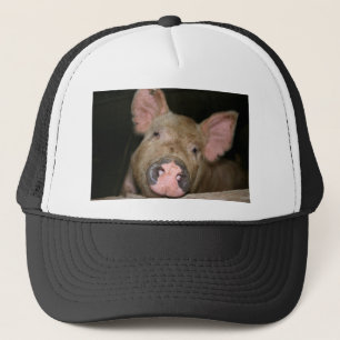 Gorra De Camionero Cerdito Rosa