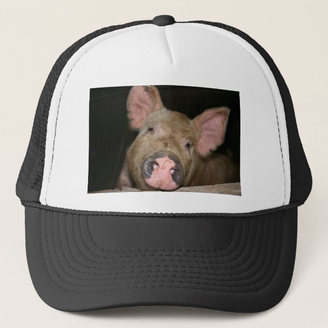 Gorra De Camionero Cerdito Rosa (Anverso)