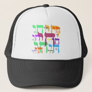 Gorra De Camionero Chai