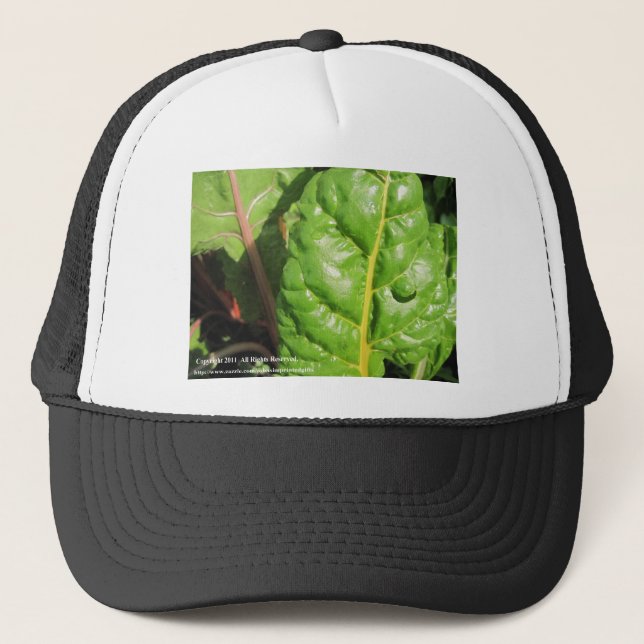 Gorra De Camionero Chards suizos (Anverso)