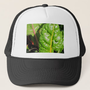 Gorra De Camionero Chards suizos