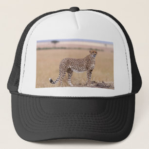 Gorra De Camionero Cheetah