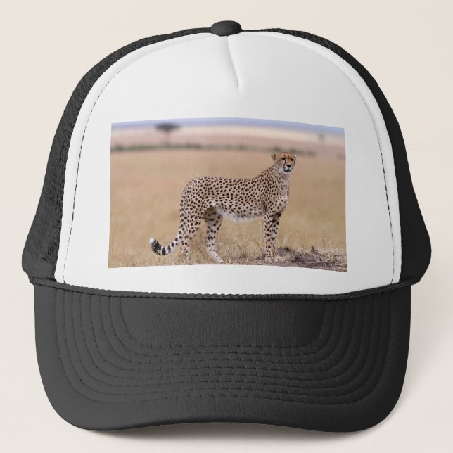Gorra De Camionero Cheetah (Anverso)