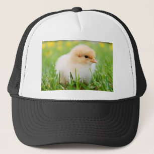 Gorra De Camionero Chick
