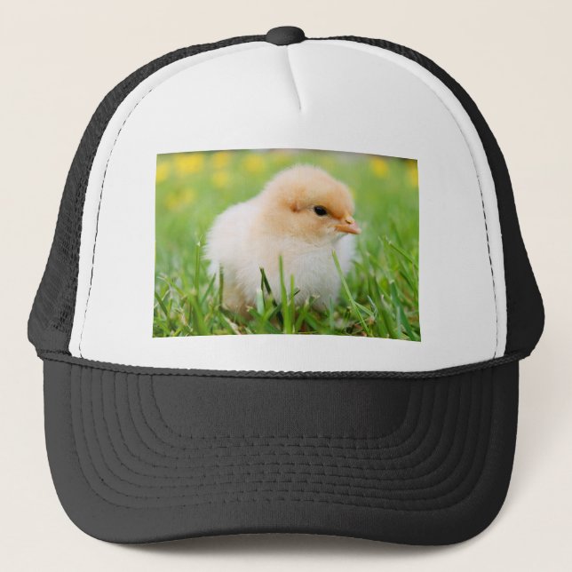 Gorra De Camionero Chick (Anverso)