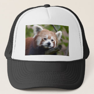Gorra De Camionero chino rojo panda4x6