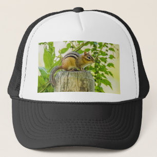 Gorra De Camionero Chipmunk en un post sobre la cerca
