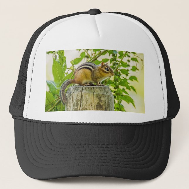 Gorra De Camionero Chipmunk en un post sobre la cerca (Anverso)