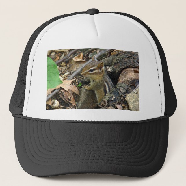 Gorra De Camionero Chipmunk oriental - Tamias striatus (Anverso)
