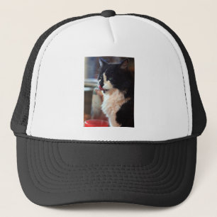 Gorra De Camionero Chloe Licks