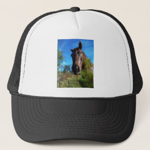 Gorra De Camionero Cielo azul de caballo marrón y crema