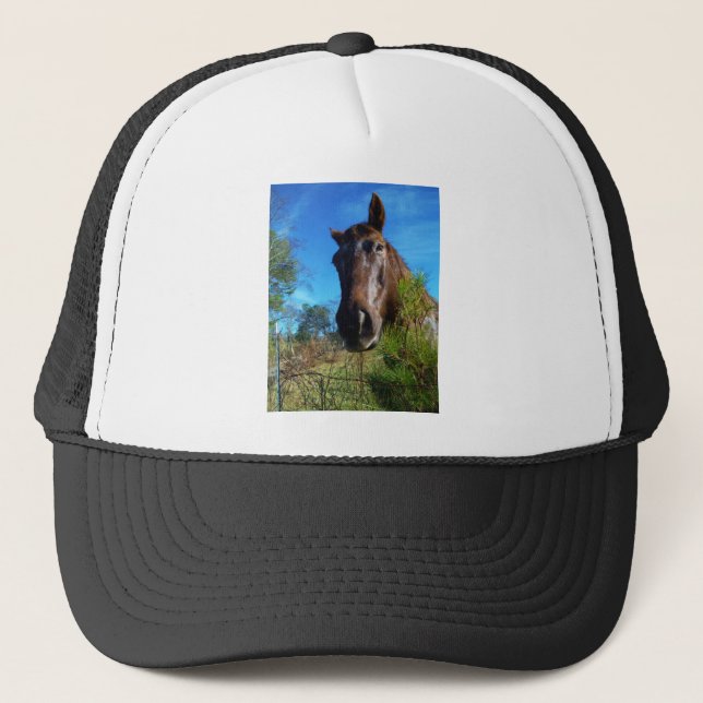 Gorra De Camionero Cielo azul de caballo marrón y crema (Anverso)