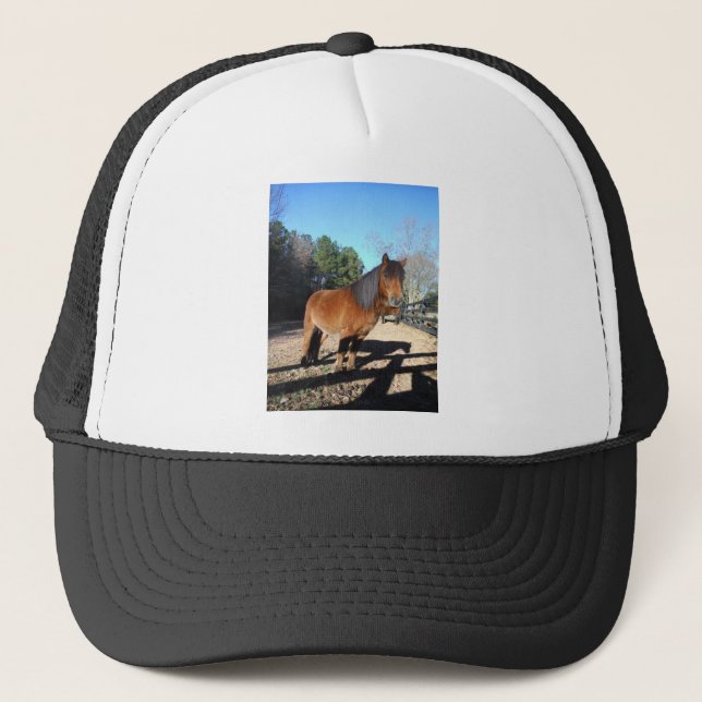 Gorra De Camionero Cielo turquesa de pontón marrón (Anverso)