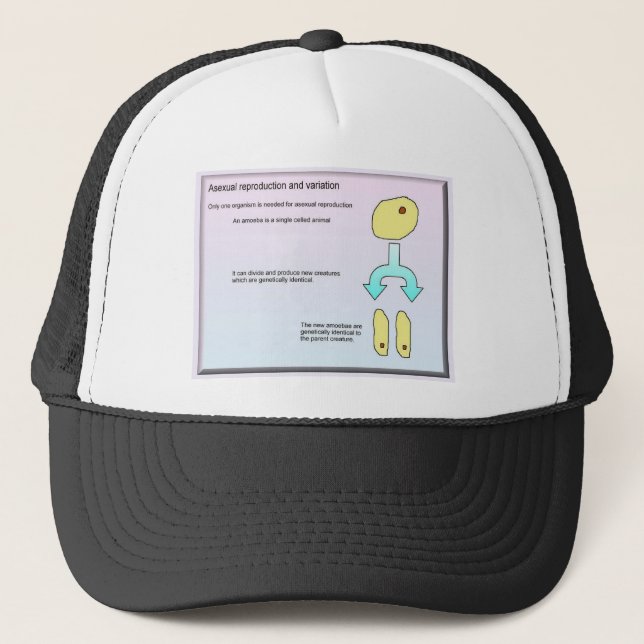 Gorra De Camionero Ciencia, ameba (Anverso)