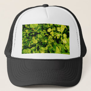 Gorra De Camionero Cilantro / Coriander Leaves
