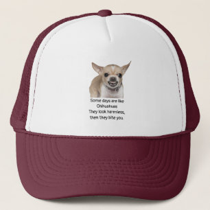 Gorra De Camionero Cita Divertida sobre la Vida con Perro Chihuahua