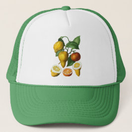 GORRA DE CAMIONERO CITRUS FRUIT