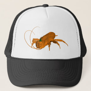 Gorra De Camionero Cockroach